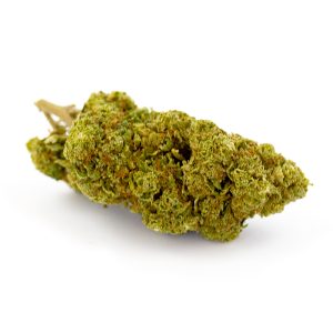 White Widow Royal CBD Glasshouse 11 White Widow Royal Glasshouse 3