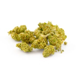 Amnésia Royal Small Buds CBD Indoor Hydro