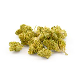 Amnésia Royal Small Buds CBD Indoor Hydro 5 Amnesia Royal Indoor Hydro SB 2 1