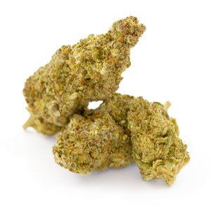 Critical Kush 2.0 CBD Indoor Hydro 4 Critical Kush Indoor Hydro 2 2