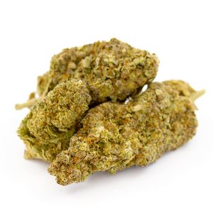 Critical Kush 2.0 CBD Indoor Hydro 5 Critical Kush Indoor Hydro 3 2