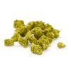 Critical kush Small Buds CBD Indoor Hydro 2 Critical Kush Indoor Hydro SB 1 1