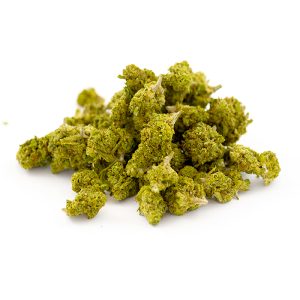 Critical kush Small Buds CBD Indoor Hydro 3 Critical Kush Indoor Hydro small bud