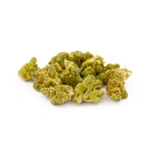 Fleurs de CBD Outdoor en gros : ce que vous devez savoir 9 HQ X CT Small Buds CBD Indoor Hydro