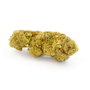 Mango Haze CBD Indoor Hydro 5 Mango Haze Indoor Hydro 3 2