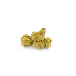 Orange Sherbert CBD Indoor Hydro 3 Orange Sherbet Indoor Hydro 2 2
