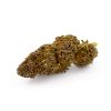 Purple Haze CBD Glasshouse 5 Purple Haze Glasshouse 1 1