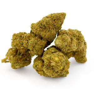 Sour Lemonade CBD Glasshouse 9 Sour Lemonade CBD Glasshouse – Image 5