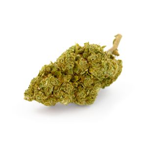 White Widow Royal CBD Glasshouse