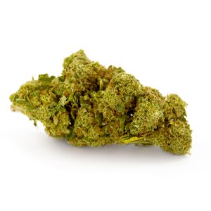White Widow Royal CBD Glasshouse 10 White Widow Royal Glasshouse 2 1