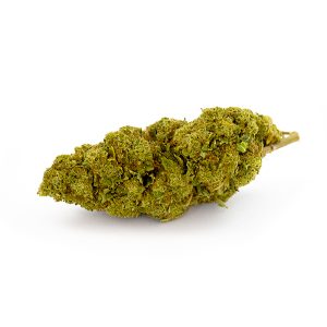 White Widow Royal CBD Glasshouse 12 White Widow Royal Glasshouse 4 1