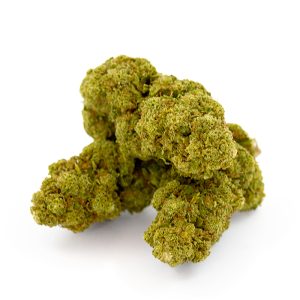 White Widow Royal CBD Glasshouse 14 White-Widow-Royal_Glasshouse