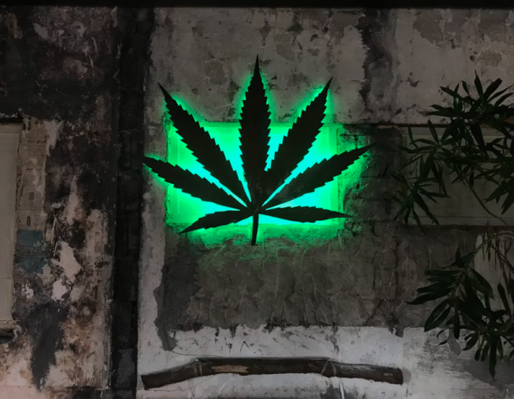 Quels événements CBD pour le mois de novembre 2025 ? 1 evenements cbd novembre 2025