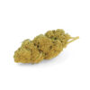 Tangie CBD Greenhouse 3 Tangie-Greenhouse