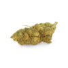 Alien Kush CBD Indoor Hydro 6 Alien-Kush-Indoor-Hydro