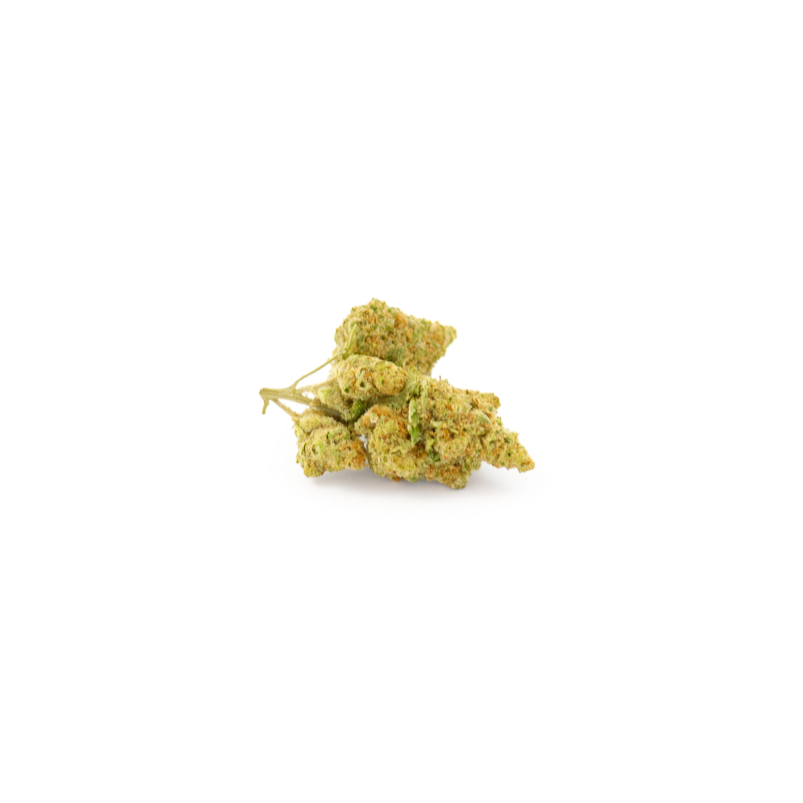 Orange Sherbet Small Buds CBD Indoor Hydro 2 Orange-Sherbet_Indoor-Hydro-1