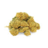 Cannatonic Small Buds CBD Glasshouse 3 Small-Buds-CBD Cannatonic-Glasshouse