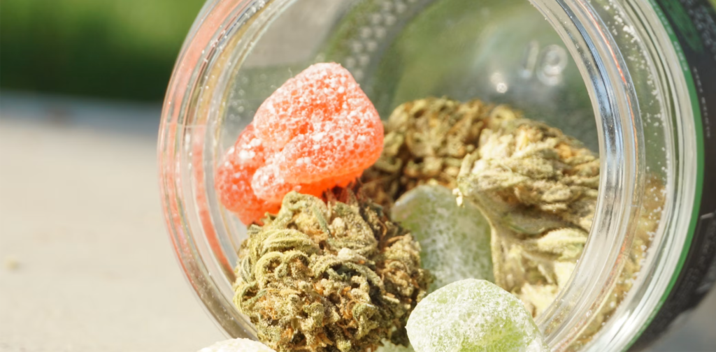 Gummies, huiles, tisanes : ce que la France a décidé d'interdire 1 cbd comestible