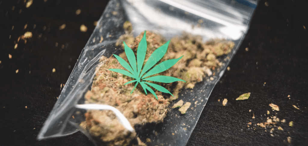 Le Japon tourne la page du CBN et interdit ce cannabinoïde 1 interdiction cbn japon